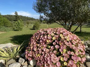 Lugn villa med pool - Image 1