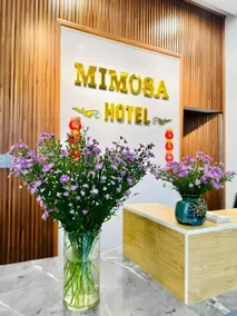 Mimosa Hotel Mang Den - Image 3