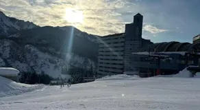 Yuzawa YUKITORA 雪虎 - Image 5