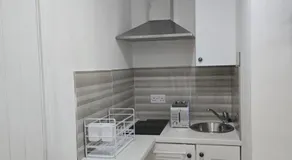 Dublin Paradise Apartment - Two Independent Private Studios - Image 5
