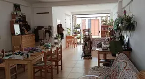 La Salvaje Bazar Mágico - Image 2