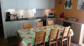 Realp-Andermatt 3,5 locali giardino privato In mezzo la natura, spettacolare per appassionati montanbike, pesca ecc In inverno fai sci di fondo dal giardino e con il treno davanti a casa si raggiunge in 5min il comprensorio scistico di Andermatt - Image 4