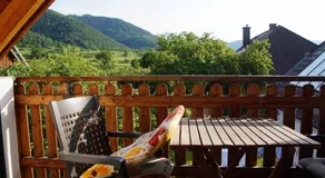 Weingut & Gästezimmer Pammer - Image 3