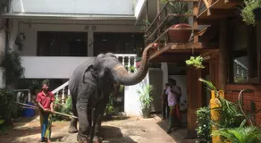 Hotel Mango Garden - Image 5