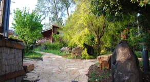 wooden Edge Of The Village - Image 3