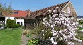Pension Zur Mühle - Image 2