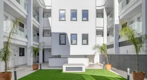 Apartamento The Banana Tree 2 9 - Image 3