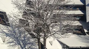 Apartmani Kopaonik Centar Maglic - Image 3