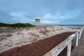 Semaphore Blue Apartments - Image 4