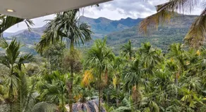 Paalm view premium resort - Image 5
