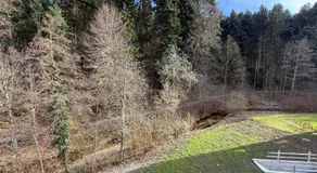 Dussnang, am Entenbach - Image 5