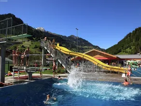 Apartment in Hüttschlag near Ski Bus - Image 3