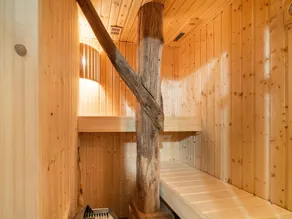 Farmhouse in Staphorst with sauna - Image 3