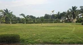 Shree Farms - Image 5