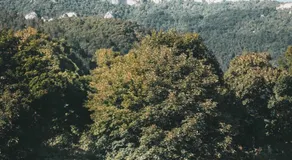 Valterra Lodges à Châtillon-en-Diois - Image 3