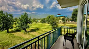 Social Monkey Hostel Bir - Image 5