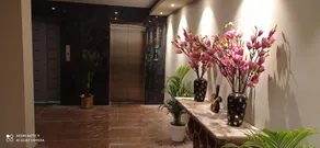 The Adventure Luxury Hotels - Image 5