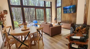 Casa en el Bosque, completa desconexión, Pucón - Image 2