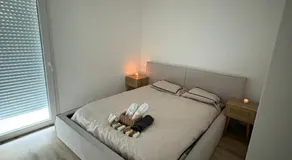 Appartement luxueux à 4 minutes de l'aéroport de genève - Image 5