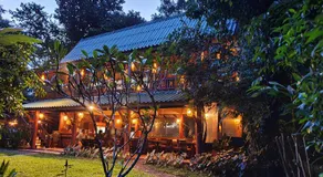 Our Jungle House - Image 2