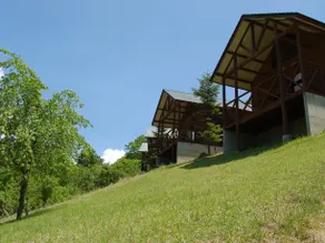 Mahoba no Mori - Image 5