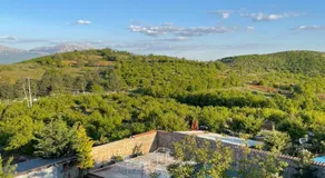 Helga's Guesthouse - Image 4