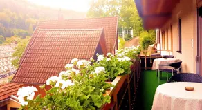Hotel Garni Silberburg - Ab 2-Übernachtungen ist die Schwarzwald-Plus-Karte inklusive - Image 3