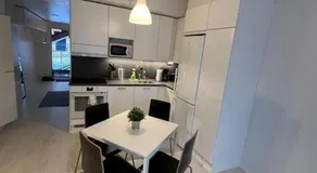 Kotimaailma Furnished Studio, Alppikylä - Image 3