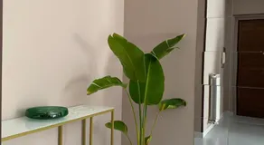Vita Lenta Casa Vacanze - Image 2