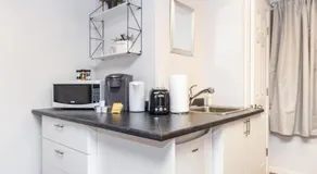 Pet Friendly Studio in Chinatown - Image 5