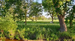 Erve iemhorst - Image 3