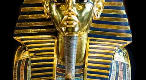 Tut - Image 5
