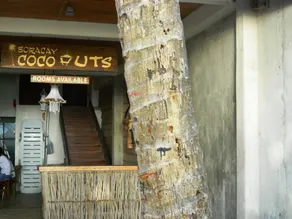 Boracay Coco Huts - Image 4