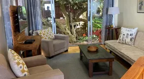 Melkboom - Image 2