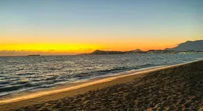 Cocotero Manzanillo - Image 5
