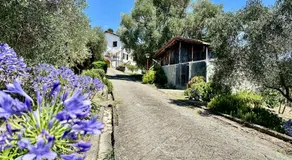 Agriturismo Uliveto Bartolomeo - Image 4