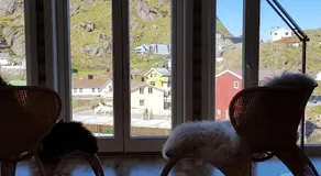aurora suite - Image 3