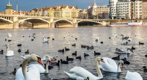 L'Mai Riverside Residence Prague - Image 4