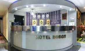 Dongtan BobosHotel - Image 1