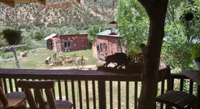 The Wandering Star Inn - Image 3