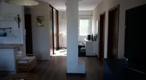 Walnut apartment with sauna and pond - Image 3