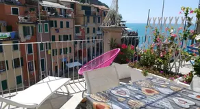 Pepita di Rio - Image 5