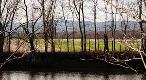 New Paltz Way Hotel - Image 4