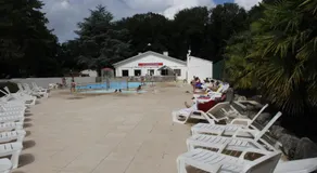 Entre sable et feuillus - Image 2