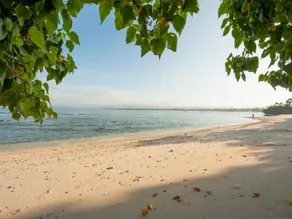 Sunrise Beach Hotel Pangandaran - Image 5