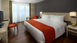 HOTEL PALAZZO INN ( PURE-VEG ) - Image 2