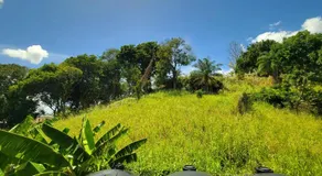 Tranquil Escape - Image 5