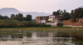 Egypt Luxor - Renaissance Holiday Home - Image 5