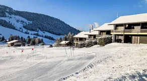 Apartment Les Bluets by Interhome - Image 4