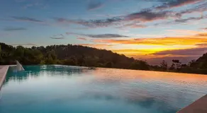 O'Reilly's Rainforest Retreat - Image 3